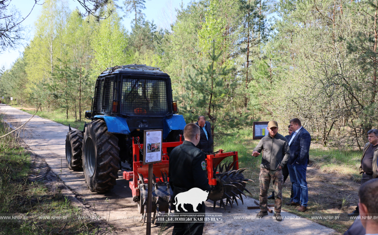 На базе Беловежской пущи проведен семинар лесохозяйственных учреждений Управления делами Президента Республики Беларусь