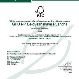 Annual audit of the FSC certification scheme