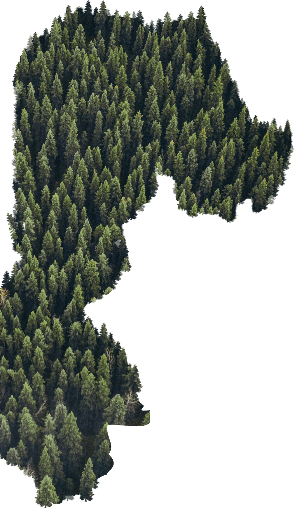 Интерактивная карта Беловежской пущи