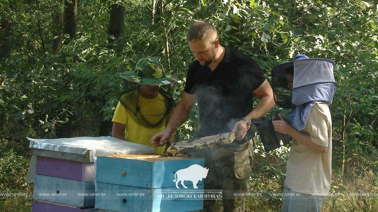 Новости - Официальный сайт Национального парка Беловежская пуща