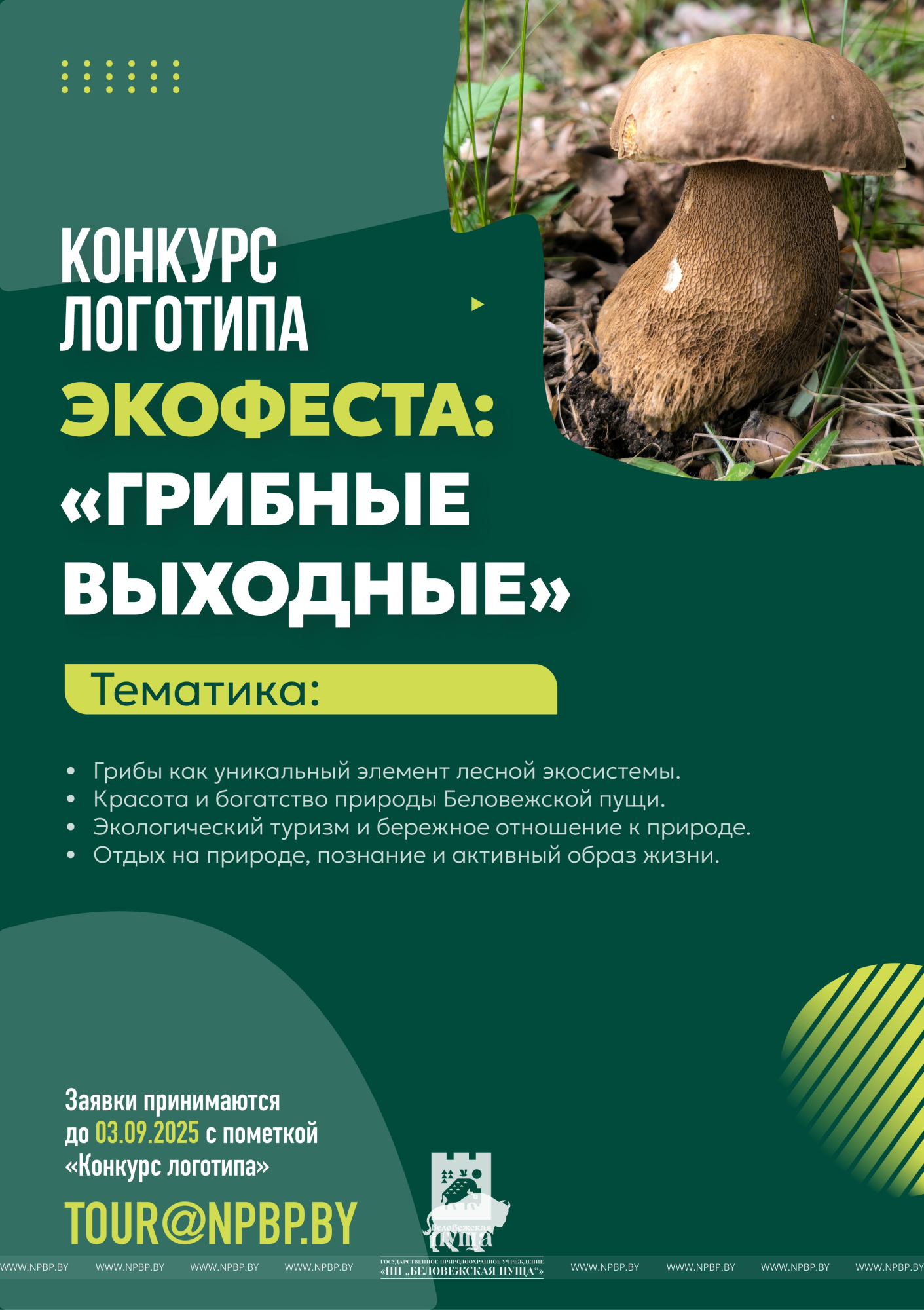 грибфнст.jpg