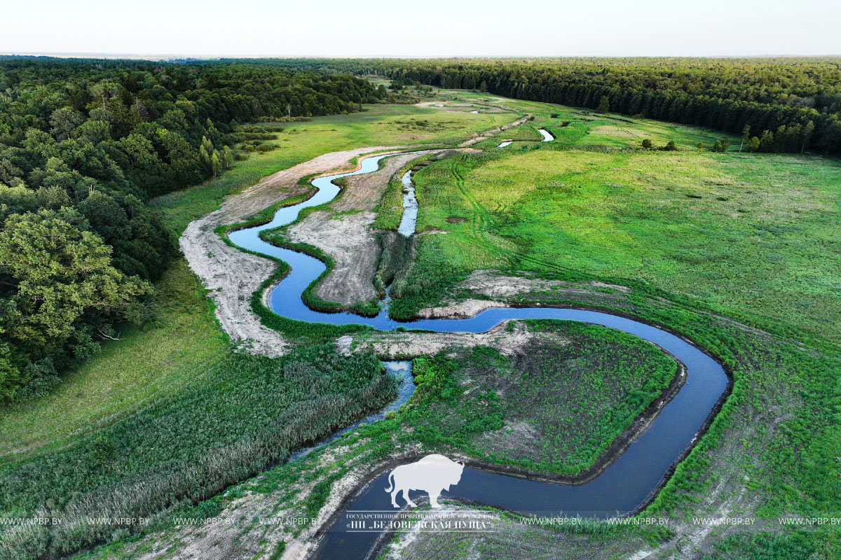 DJI_0937+.jpg