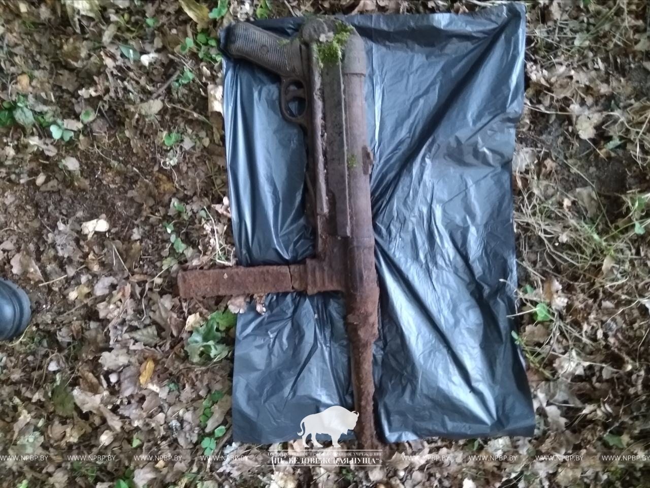 В Беловежской пуще нашли пистолет-пулемет времен войны