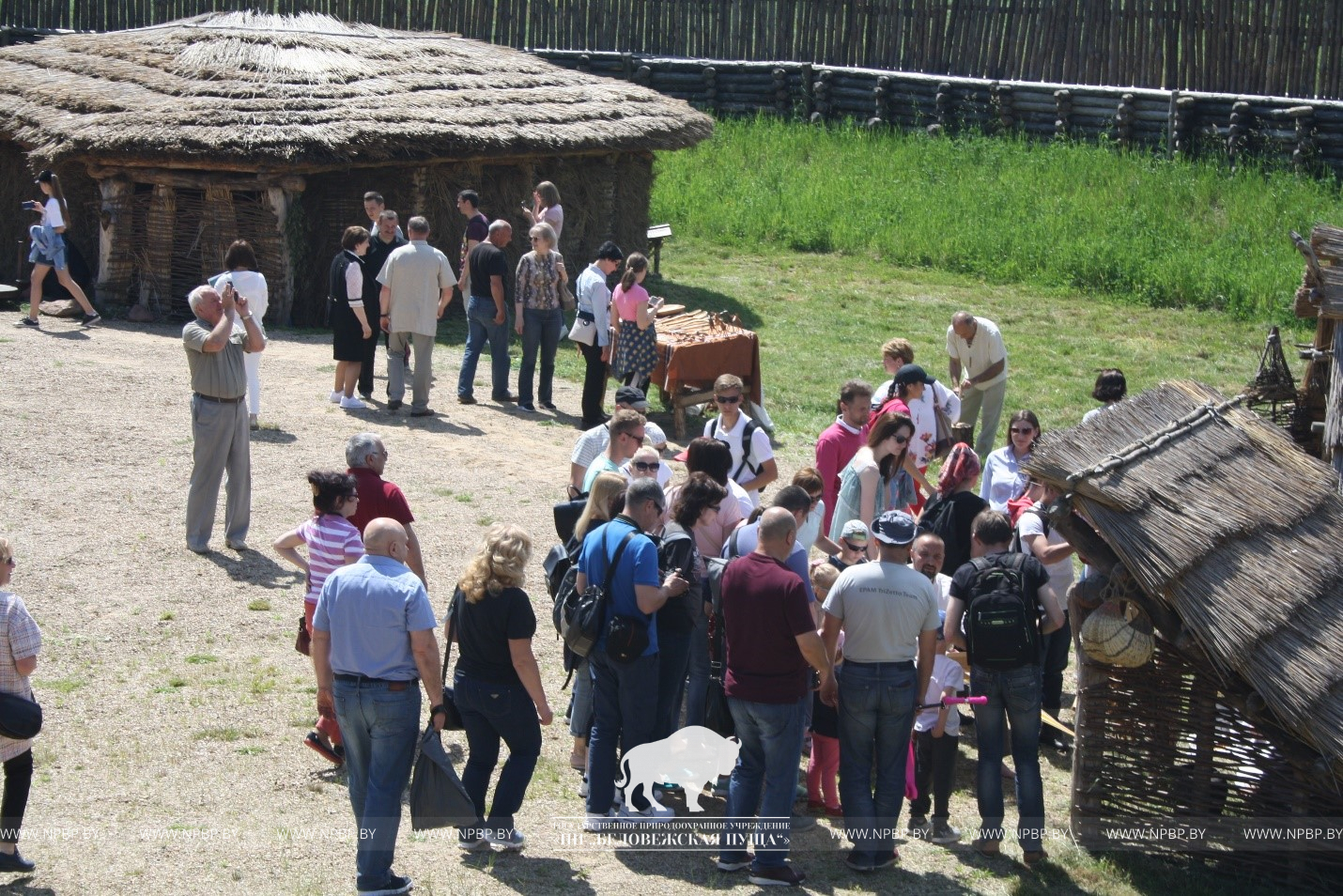 Новости - Официальный сайт Национального парка Беловежская пуща