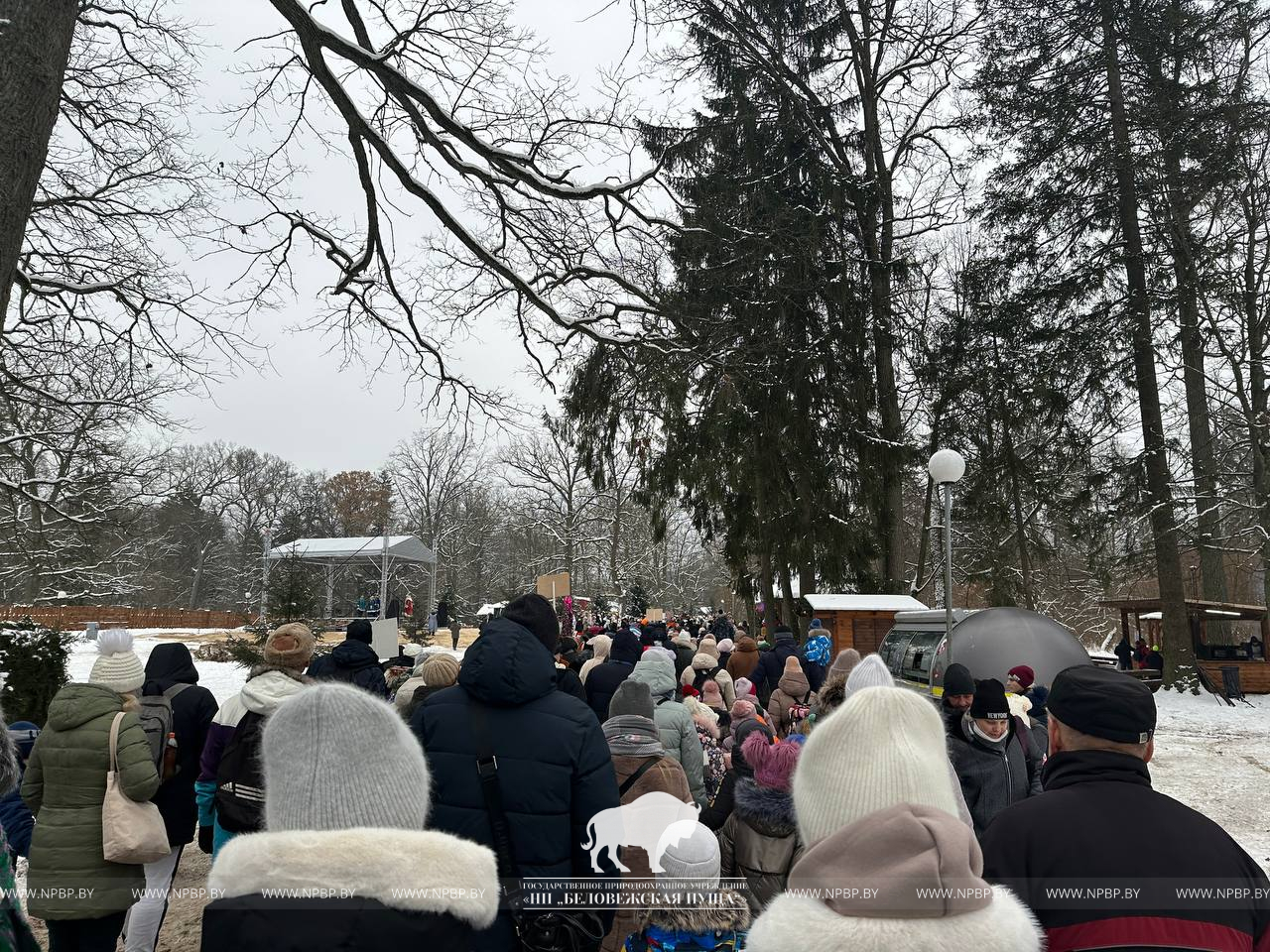 Новости - Официальный сайт Национального парка Беловежская пуща