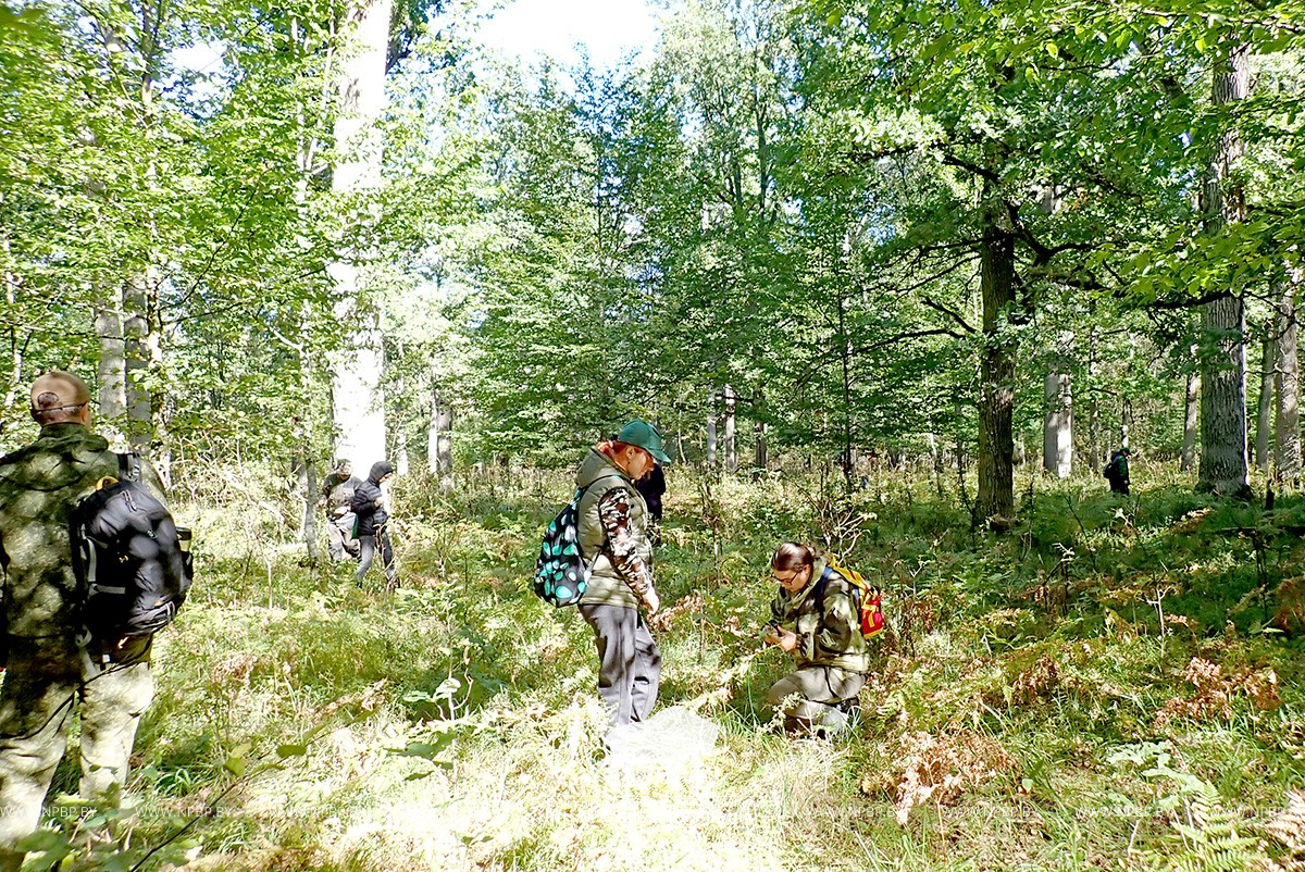 3glav.jpg