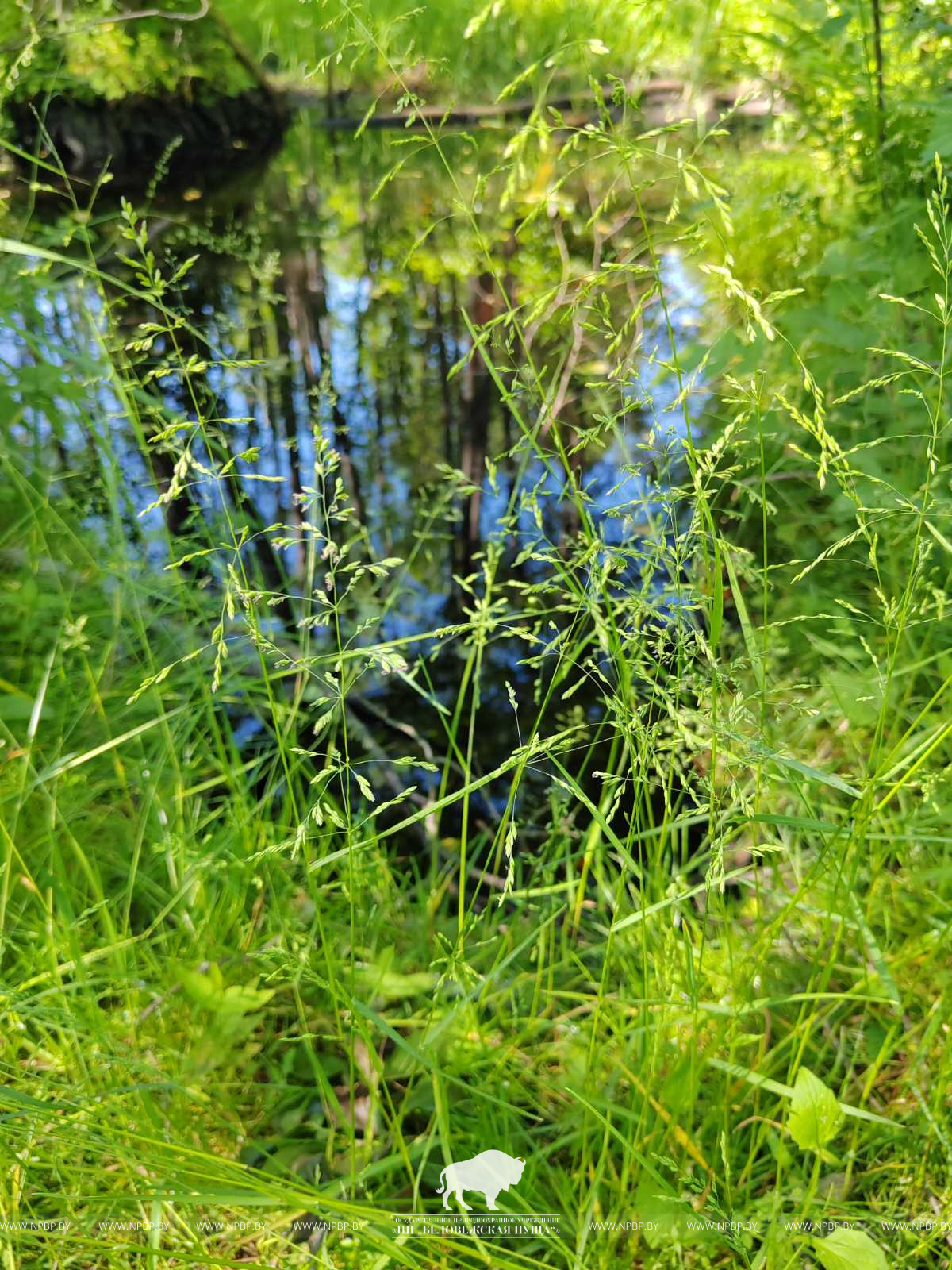 20260619_143108.jpg