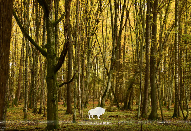 Рисунок1.png Рисунок1.png