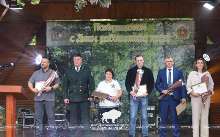 Как прошёл День работников леса 2025