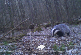 Охрана Краснокнижных видов
