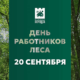 День работников леса 2025 в Беловежской пуще!