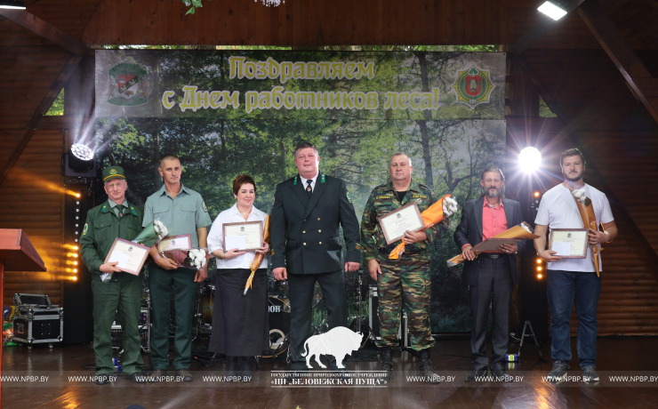 Как прошёл День работников леса 2025