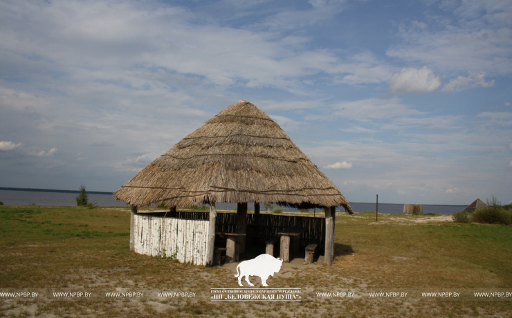 Выганаўская
