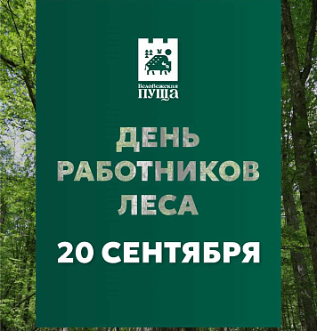 День работников леса 2025 в Беловежской пуще!