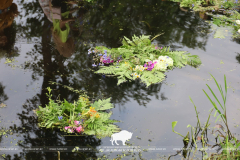 На Ивана на Купала ноченька мала…