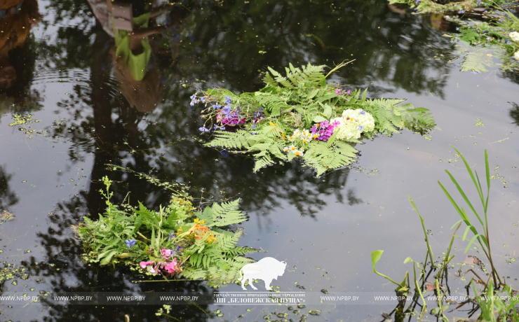 На Ивана на Купала ноченька мала…