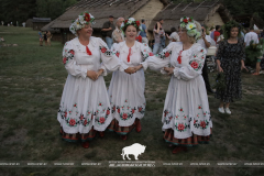 На Ивана на Купала ноченька мала…