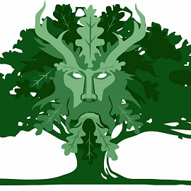 Молодежная летняя школа по лесной фитоценологии «SYLVAN-2025»