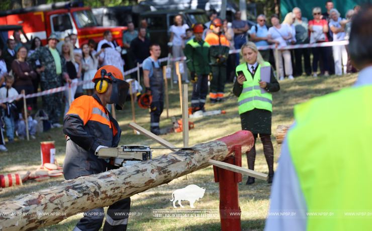 Как прошёл День работников леса 2025