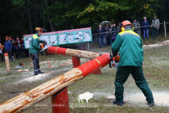Как прошел День работника леса в Беловежской пуще.