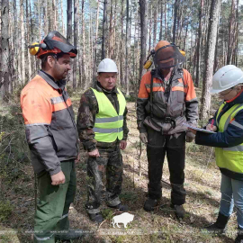 Всемирный день охраны труда
