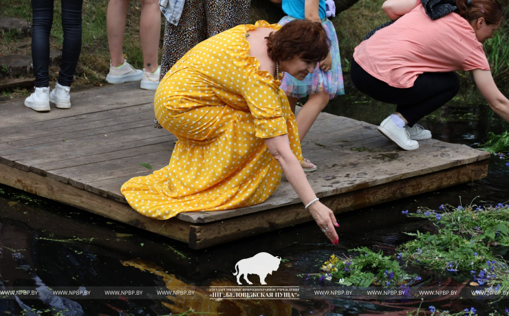 На Ивана на Купала ноченька мала…