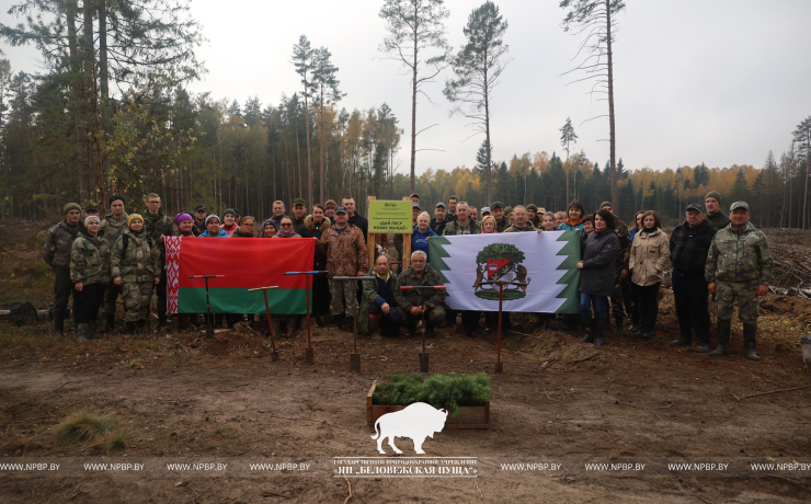 Посадка лесных культур в рамках акции  «Дай лесу новае жыццё!»