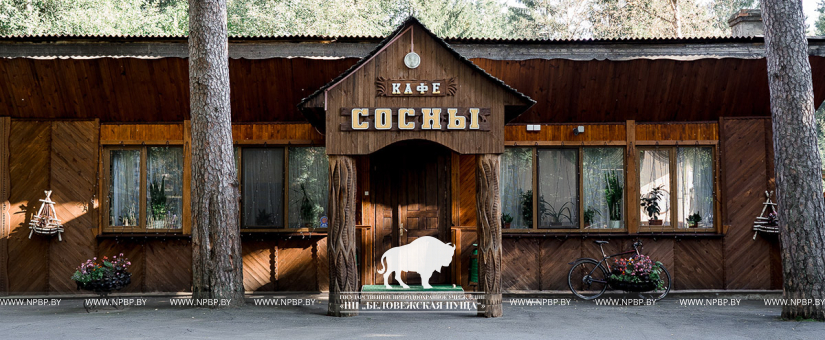 Кафэ «Сосны»