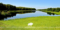 Поры года