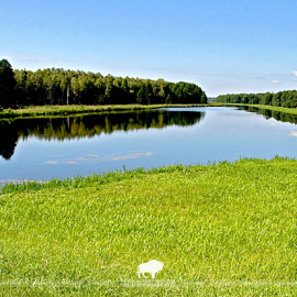 Поры года