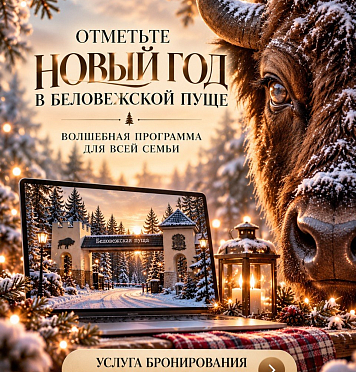 Новый год в Беловежской пуще