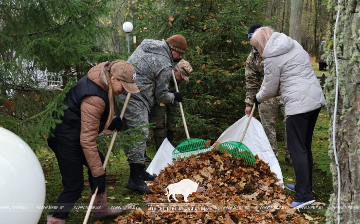 Республиканский субботник в Беловежской пуще