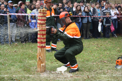 Беловежская пуща ПРИГЛАШАЕТ на День работников леса!