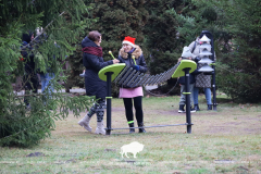 Как прошёл праздник в Беловежской пуще с участием волшебников