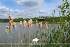 Звярыны пераход
