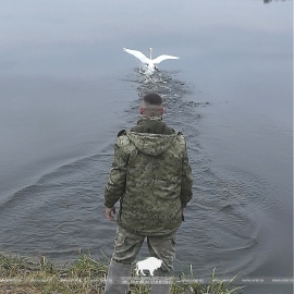 Лесной пленник