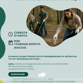 21 марта — Международный день лесов: уникальность Беловежской пущи