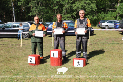 Как прошёл День работников леса 2025