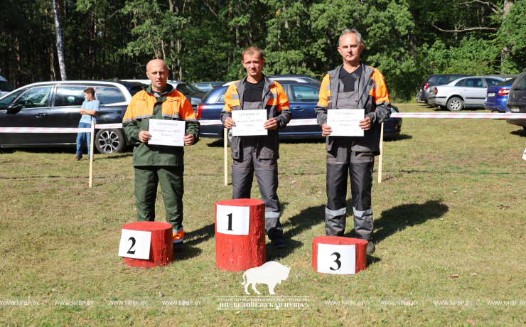 Как прошёл День работников леса 2025