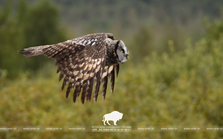 Всемирный день водно-болотных угодий