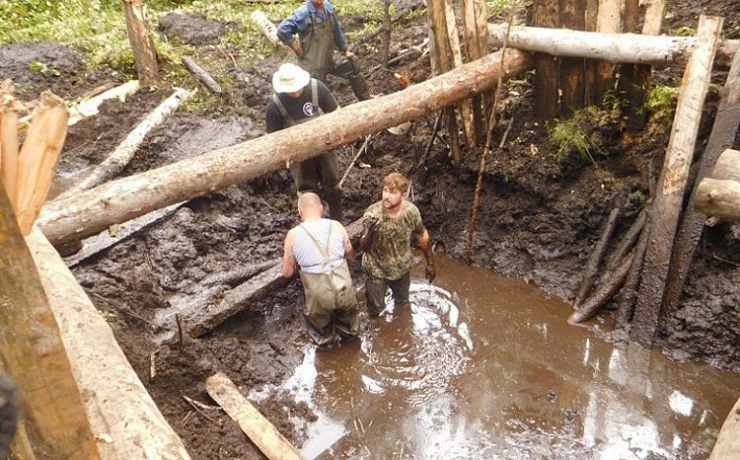 Военный самолет и останки летчика подняли из болота в ЛОХ «Выгоновском»