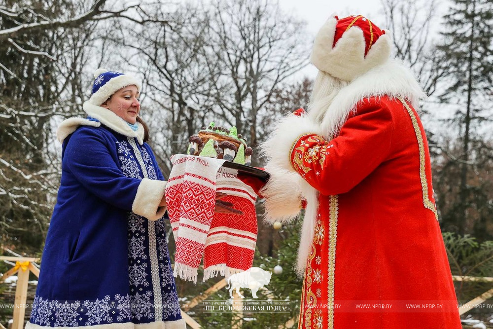 9 декабря встретили снегурочку в пуще. дед мороз и снегурочка. дед мороз и снегурочка эстетика. российский дед мороз и снегурочка в устюге. снегурочки.