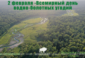 Всемирный день водно-болотных угодий