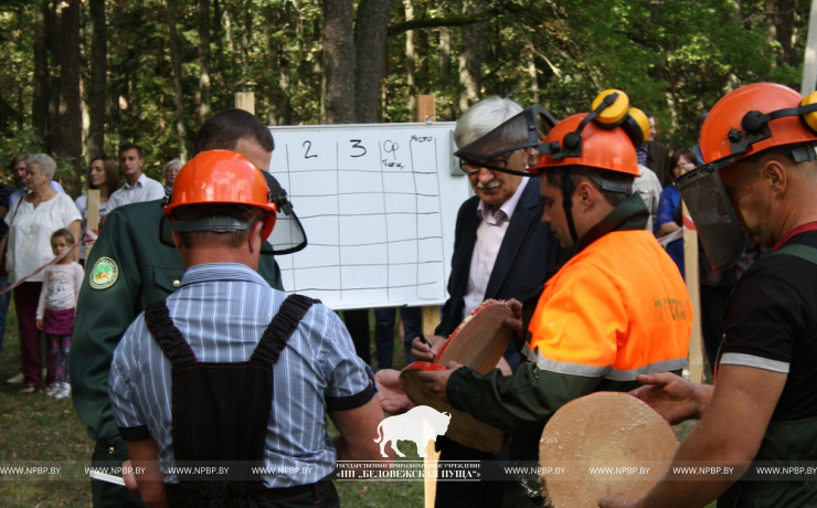 День работника леса! Сегодня профессиональный праздник отметила Беловежская пуща, как это было…