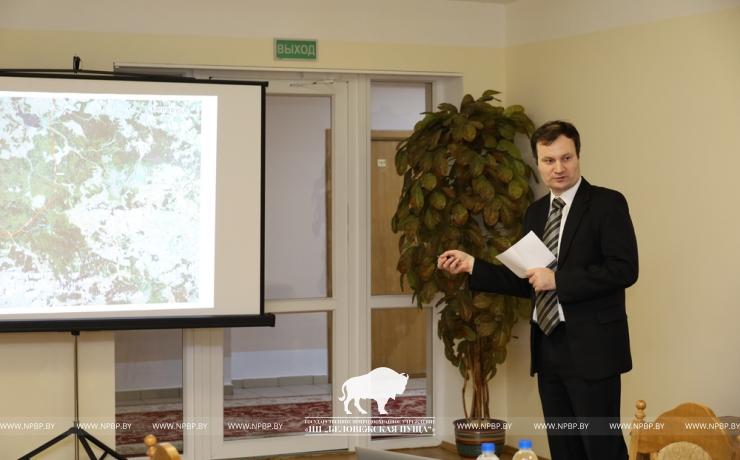 В Беловежской пуще готовят дорожную карту для зубров
