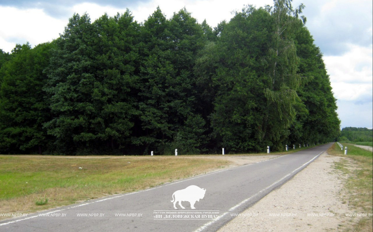 Вялікае падарожжа