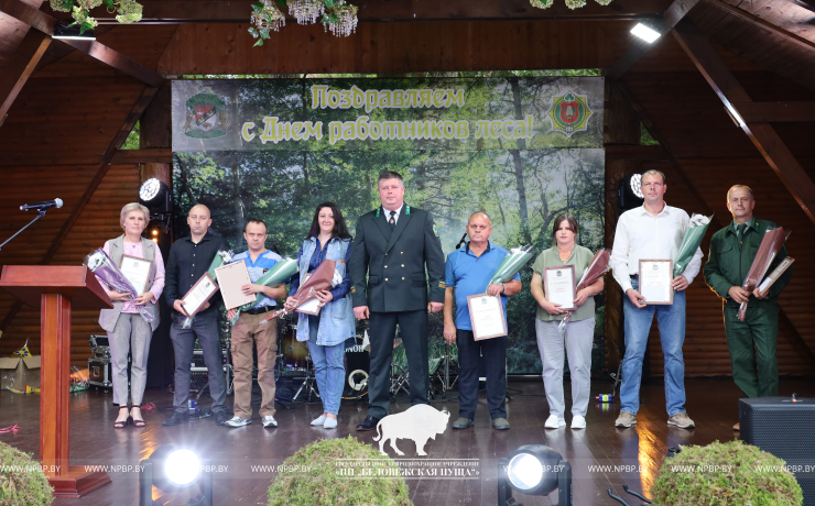 Как прошёл День работников леса 2025