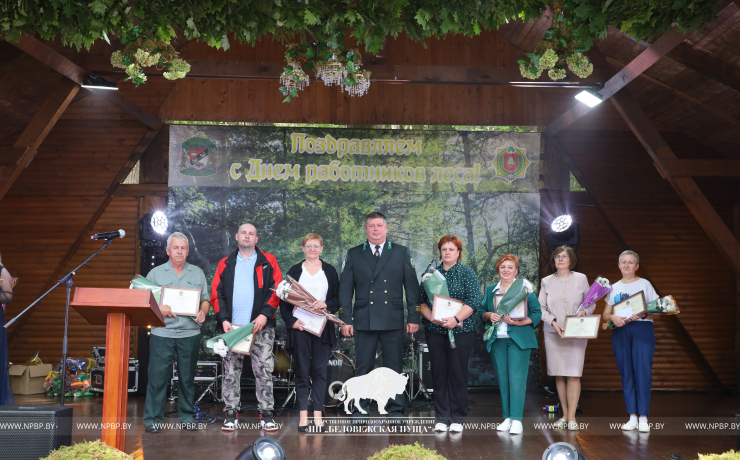 Как прошёл День работников леса 2025