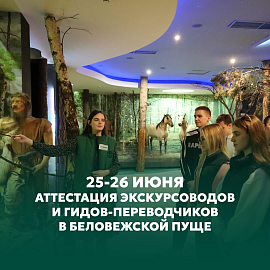 Внимание! Аттестация экскурсоводов в Беловежской пуще (25-26 июня 2025 г.)