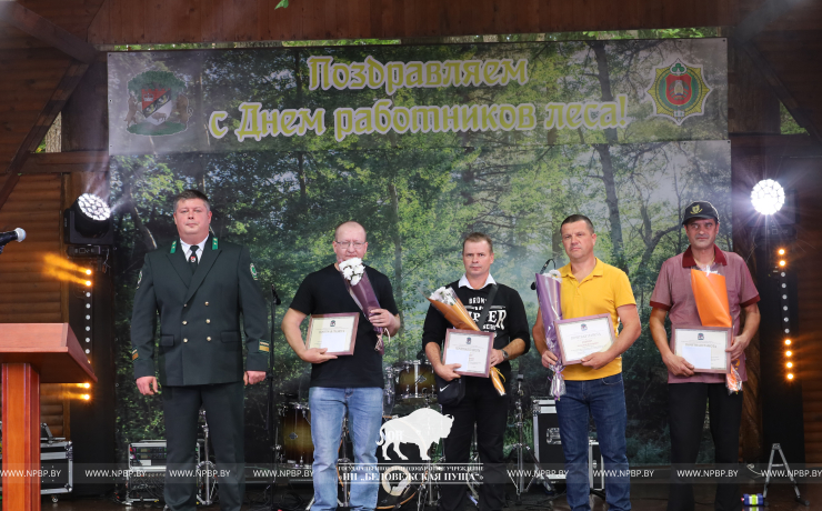 Как прошёл День работников леса 2025